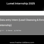 Lumel Internship 2025
